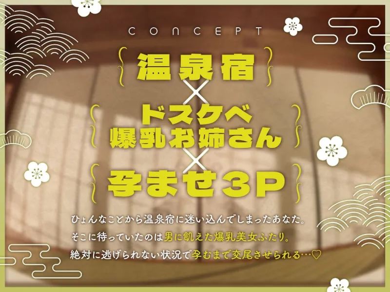 宿屋のドスケベお姉さん×2に夜這いされて搾精される夜 宿屋のドスケベお姉さん×2に夜這いされて搾精される夜