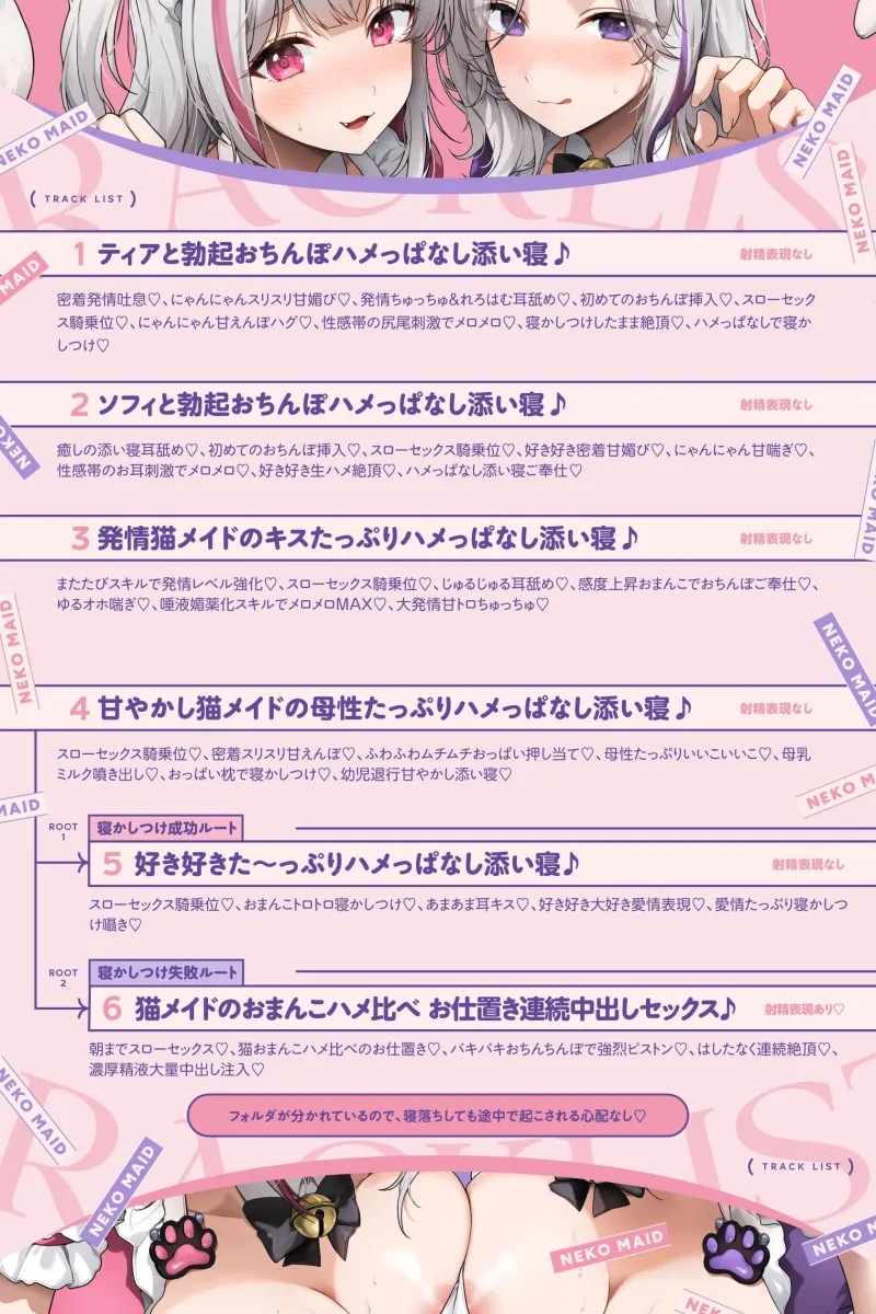 本文説明画像