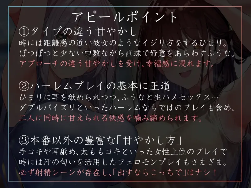 本文説明画像