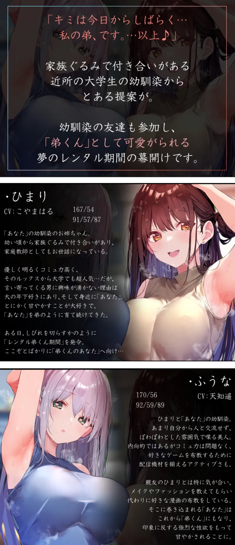 本文説明画像