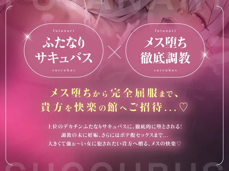 本文説明画像