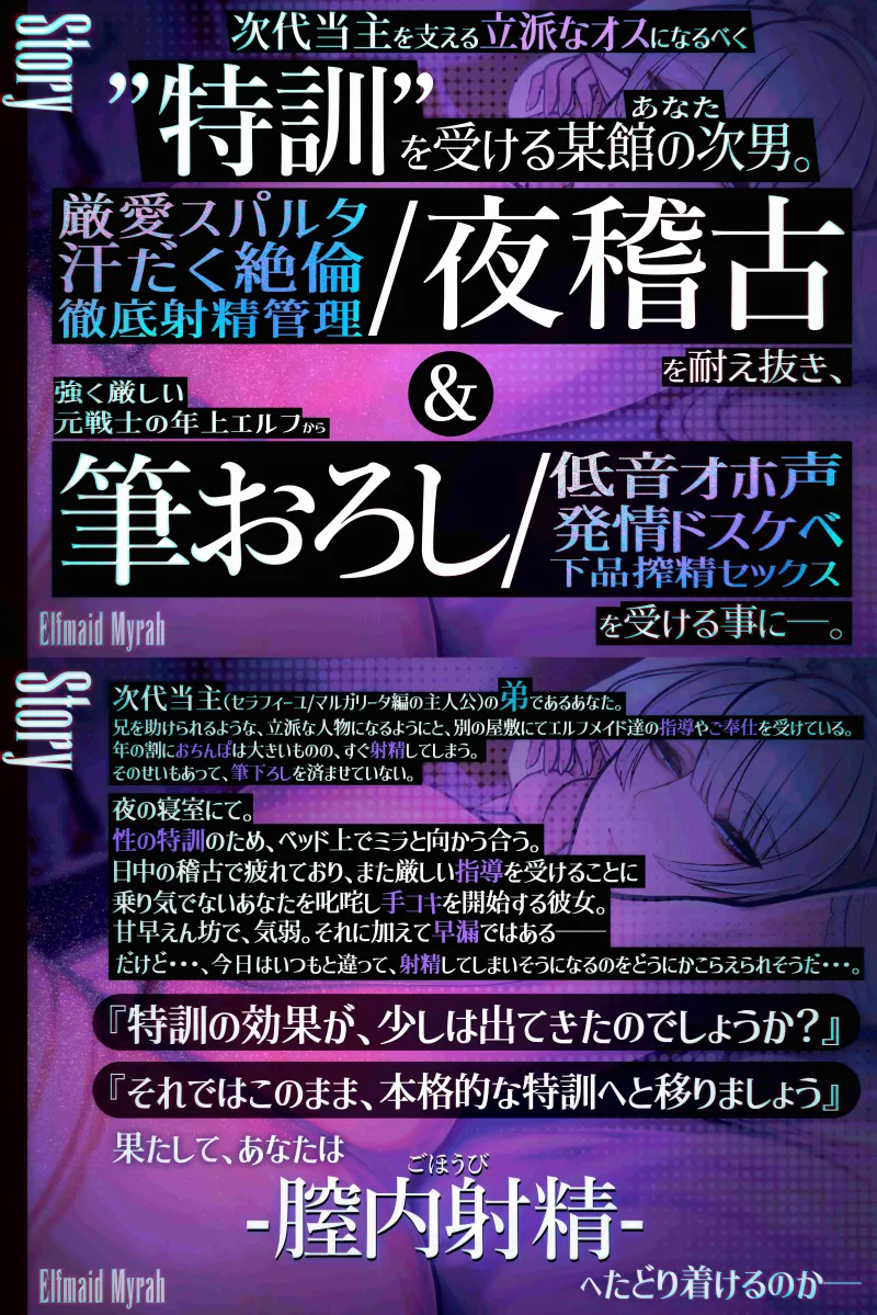 本文説明画像