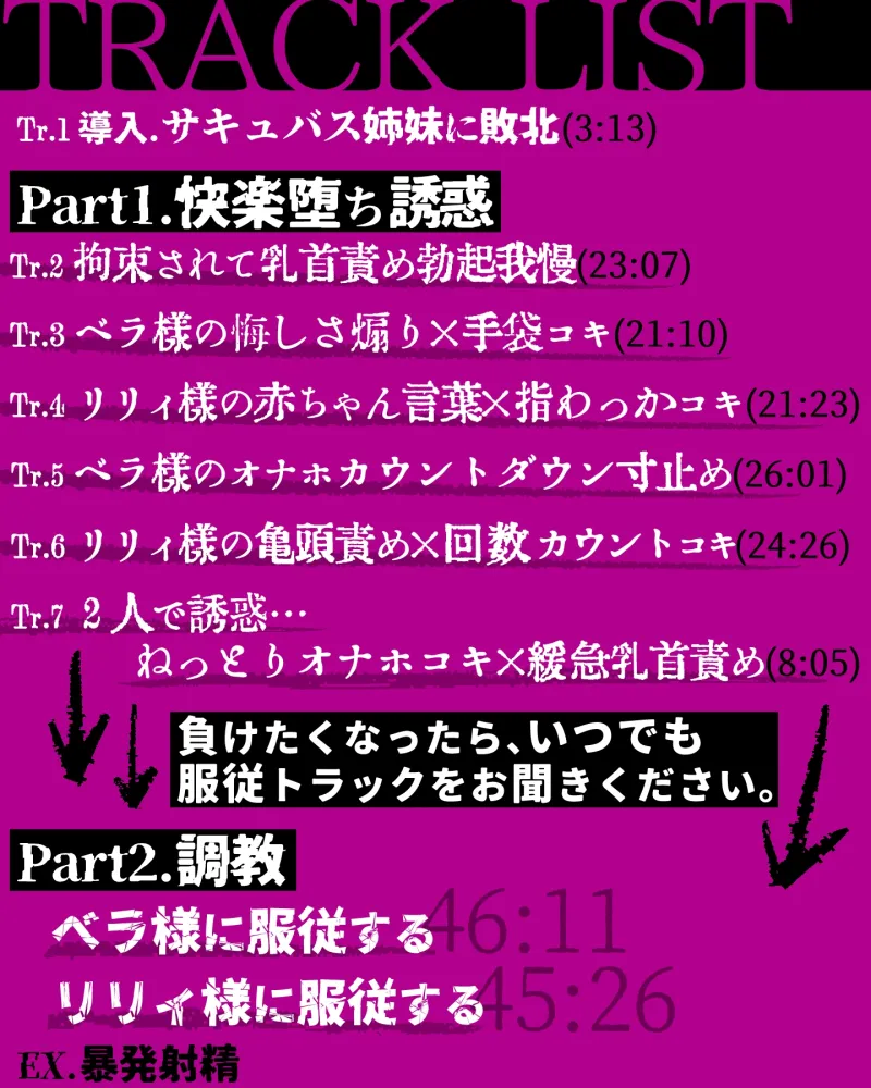 本文説明画像