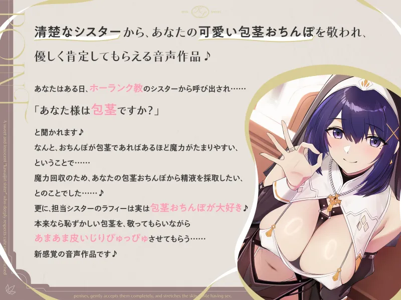 本文説明画像