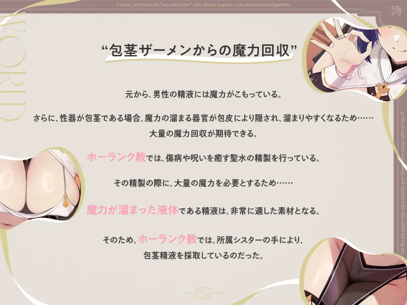 本文説明画像
