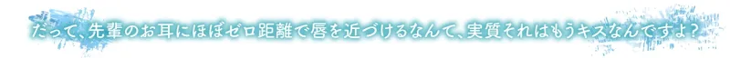 本文説明画像