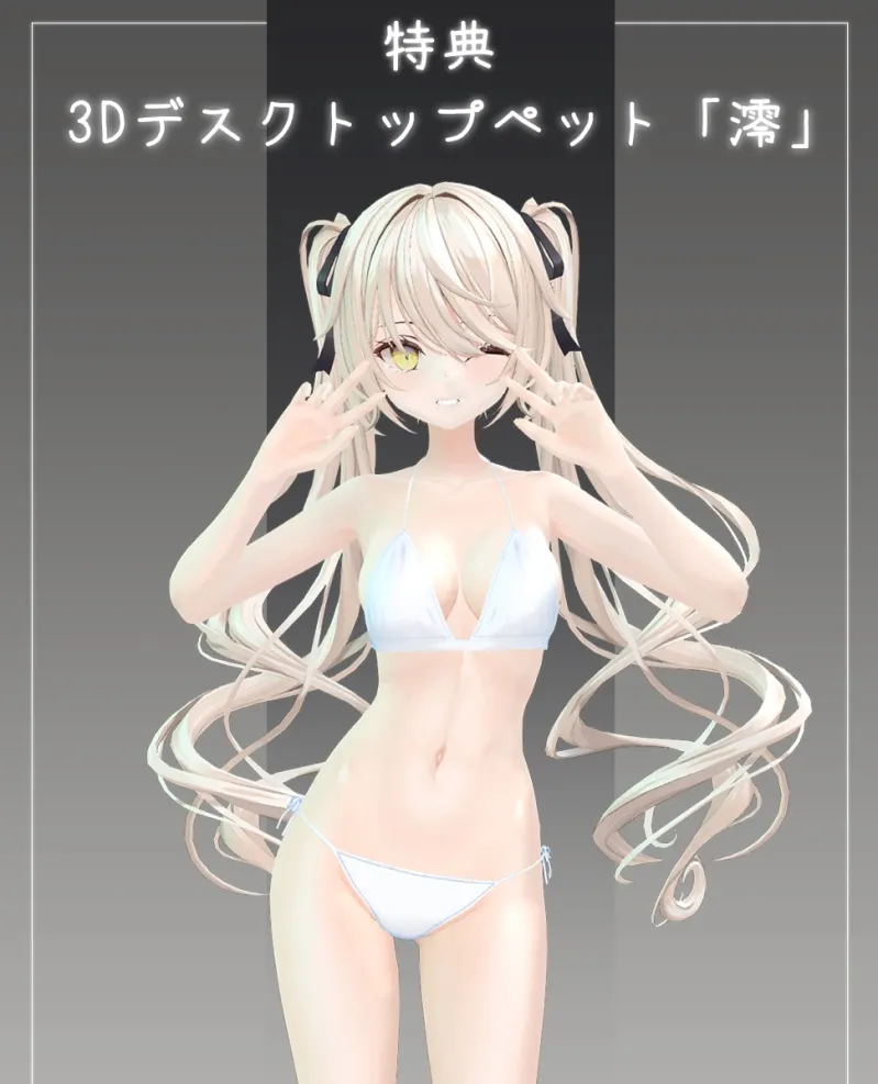本文説明画像