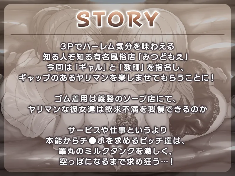 本文説明画像