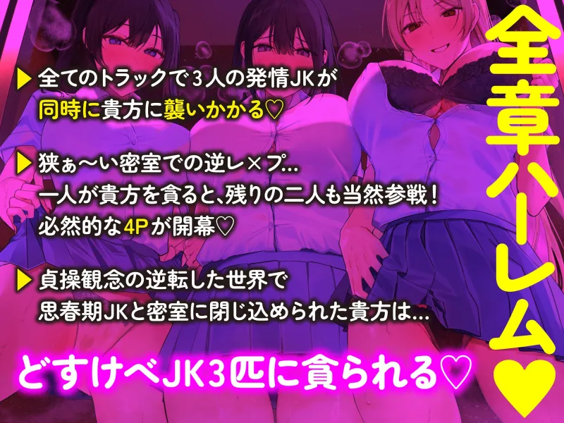 【全章4P逆レ】【貞操観念逆転】エレベーター密室逆レイプ事件～停電したエレベーターに閉じ込められた貴方は発情ドスケベJK3人に襲われる～