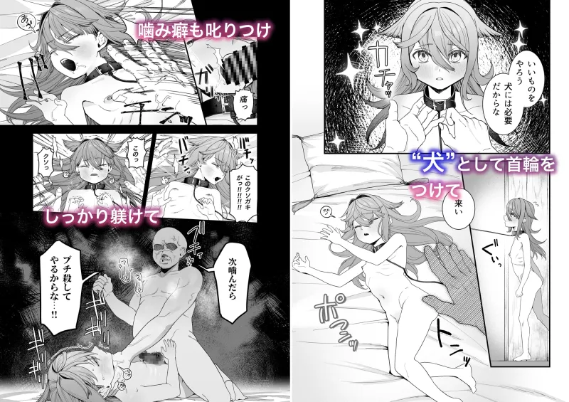 どれいがペットにそだつまで