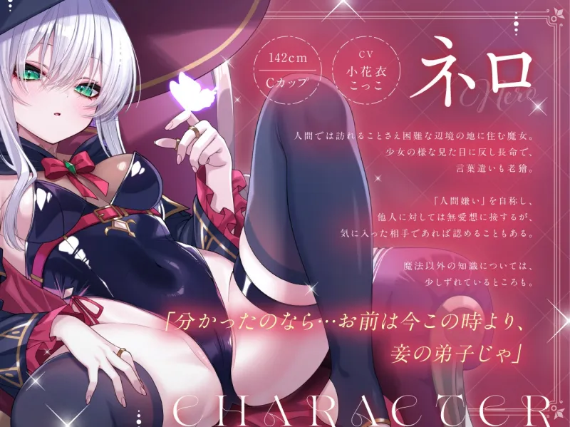 人間嫌いな長命○リ魔女さまの弟子になる。～無愛想だけど甘々えっちはしてくれるお師匠様～