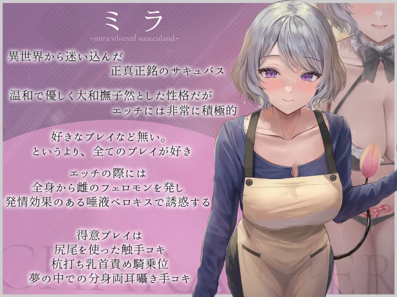 白銀の淫魔 あなたが助けた絶世の美女はエッチで優しい良妻賢母なおまんこ淫魔でした