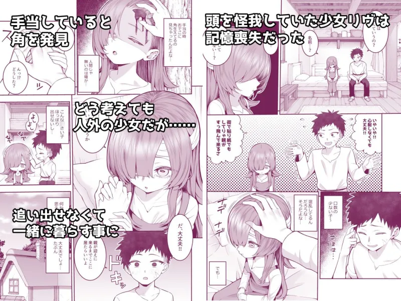 記憶喪失の娘を拾ったらサキュバスだった