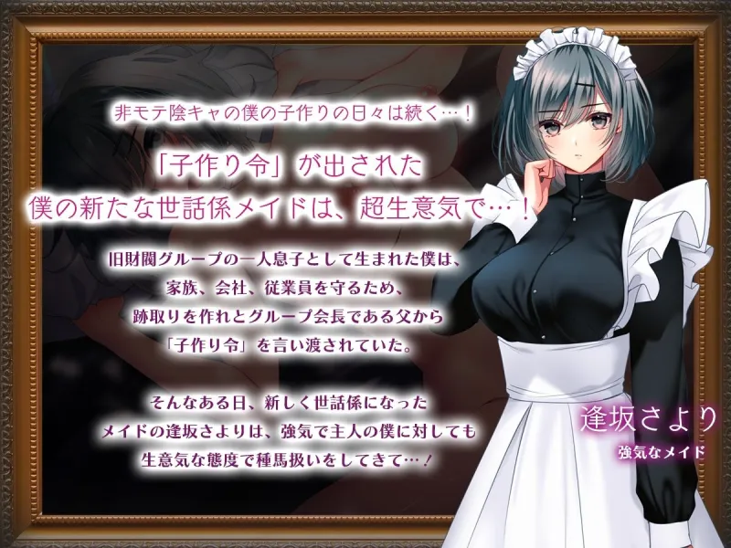 非モテでもメイドを孕ませたい！  総集編