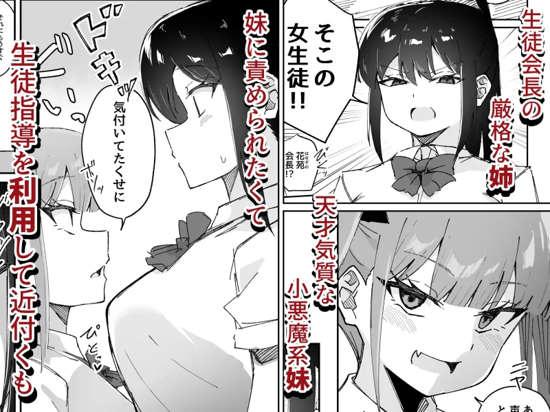 激弱乳首な堅物お姉ちゃんは小悪魔妹に逆らえない！